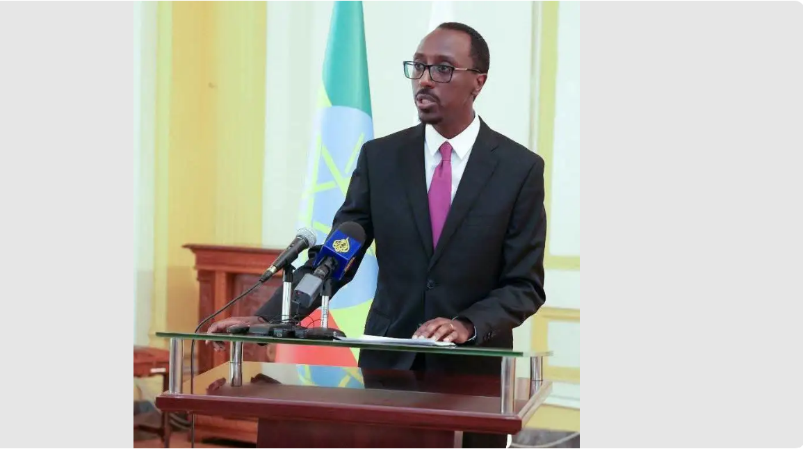 ዓለም አቀፉ ማኅበረሰብ ኤርትራ የቀጣናውን እንቅስቃሴዎች ከማወክ እንድትቆጠብ ጫና ሊያደርግ ይገባል - የውጭ ጉዳይ ሚኒስትር ጌዲዮን ጢሞቲዎስ (ዶ/ር)